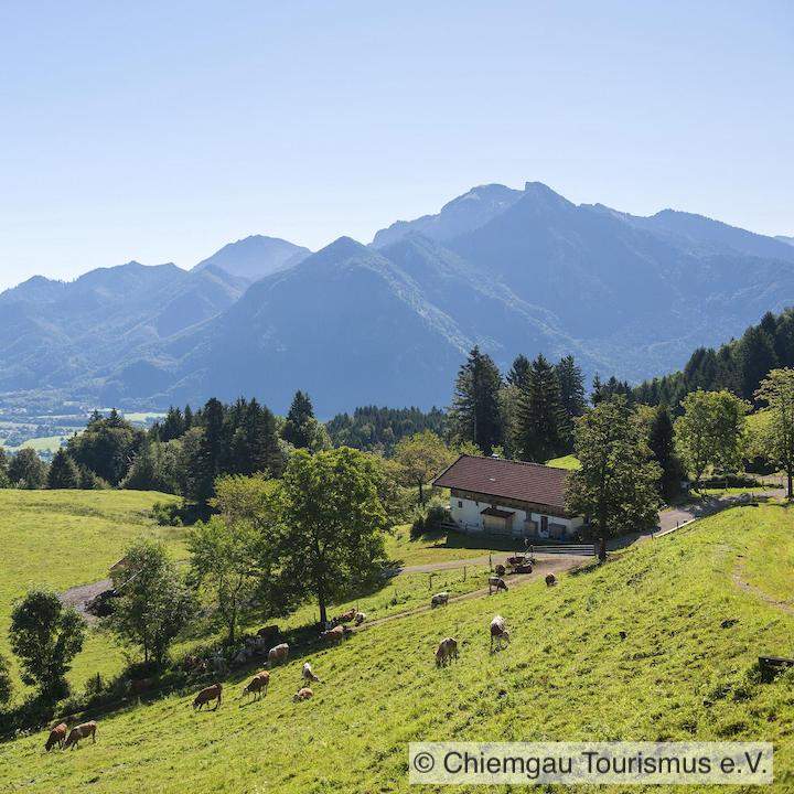 Rachlalm bei Grassau mit Blick in den Chiemgau