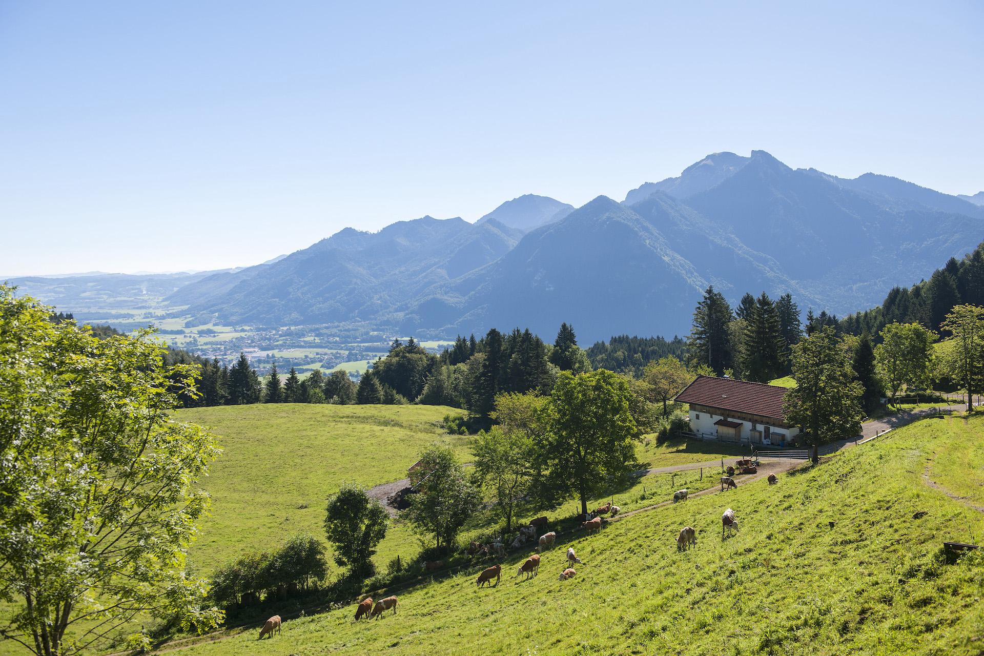 Rachlalm bei Grassau mit Blick in den Chiemgau