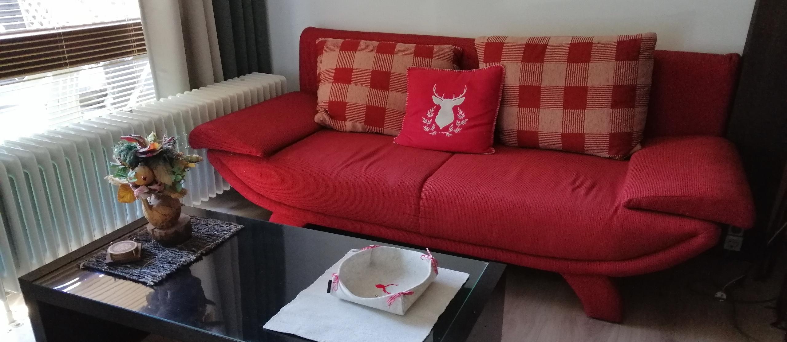 Wohnraum mit Schlafcouch